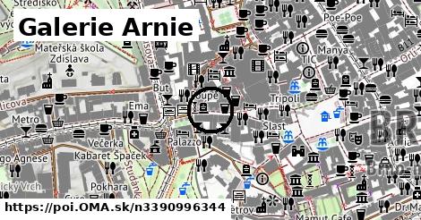 Galerie Arnie