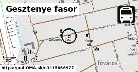 Gesztenye fasor