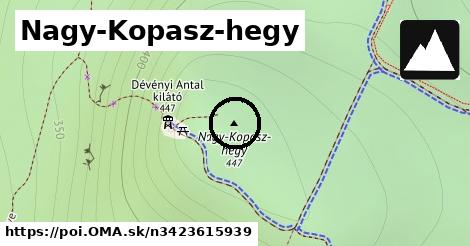 Nagy-Kopasz-hegy