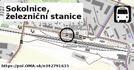 Sokolnice, železniční stanice