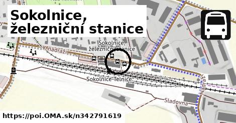 Sokolnice, železniční stanice