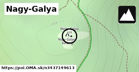 Nagy-Galya