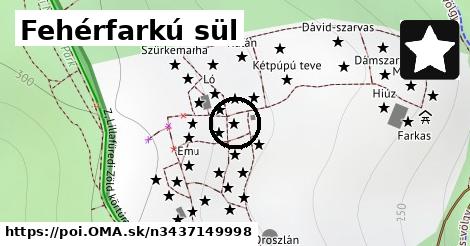 Fehérfarkú sül