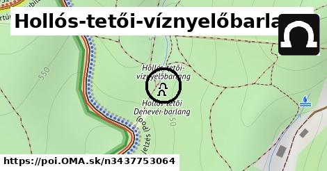 Hollós-tetői-víznyelőbarlang