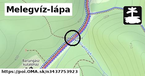 Melegvíz-lápa