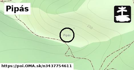 Pipás