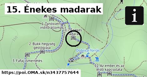 15. Énekes madarak