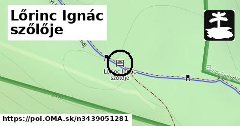 Lőrinc Ignác szőlője