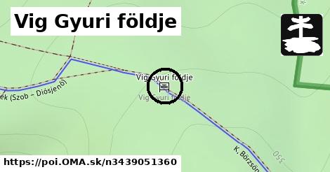 Vig Gyuri földje