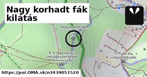 Nagy korhadt fák kilátás