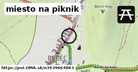 miesto na piknik