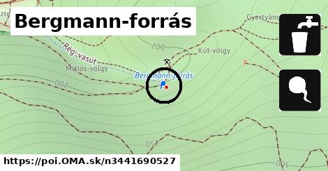 Bergmann-forrás