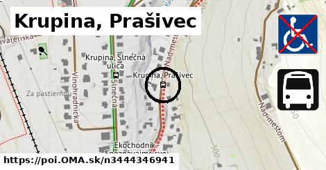 Krupina, Prašivec