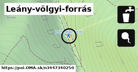 Leány-völgyi-forrás