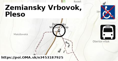 Zemiansky Vrbovok, Pleso