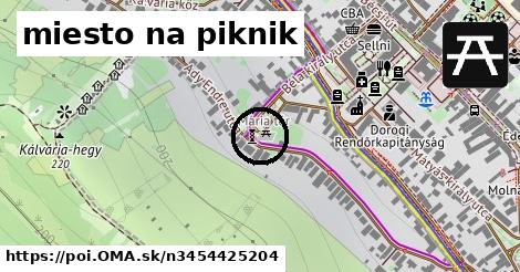 miesto na piknik