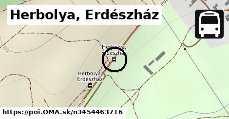 Herbolya, Erdészház