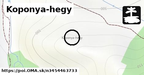 Koponya-hegy