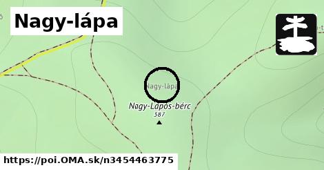 Nagy-lápa