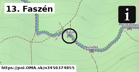 13. Faszén