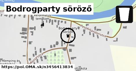 Bodrogparty söröző