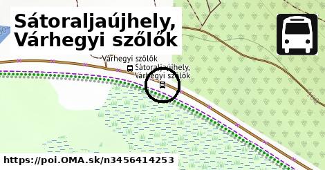 Sátoraljaújhely, Várhegyi szőlők