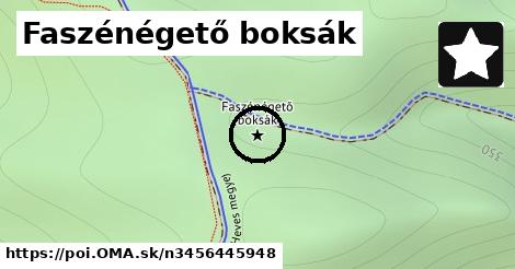 Faszénégető boksák