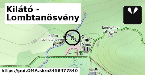 Kilátó - Lombtanösvény