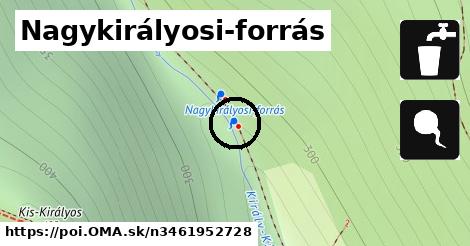 Nagykirályosi-forrás