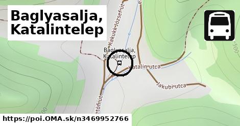 Baglyasalja, Katalintelep