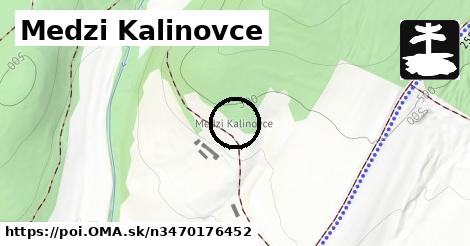 Medzi Kalinovce