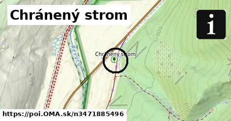 Chránený strom