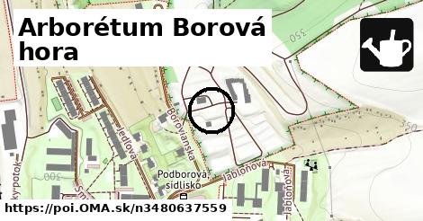 Arborétum Borová hora