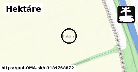 Hektáre