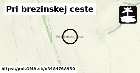 Pri brezinskej ceste