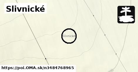 Slivnické