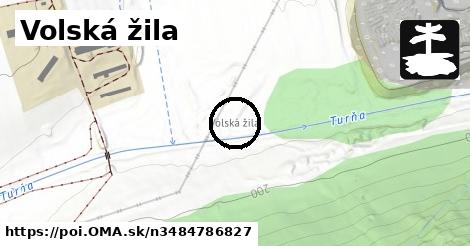 Volská žila