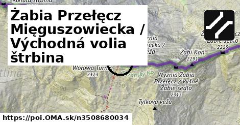 Żabia Przełęcz Mięguszowiecka / Východná volia štrbina