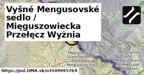 Vyšné Mengusovské sedlo / Mięguszowiecka Przełęcz Wyżnia