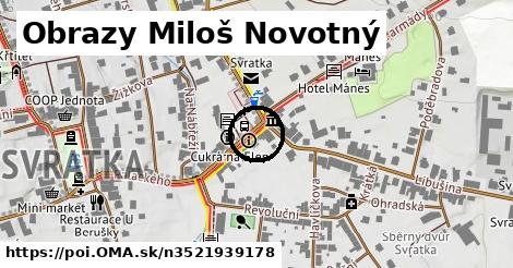 Obrazy Miloš Novotný