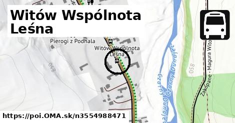 Witów Wspólnota Leśna