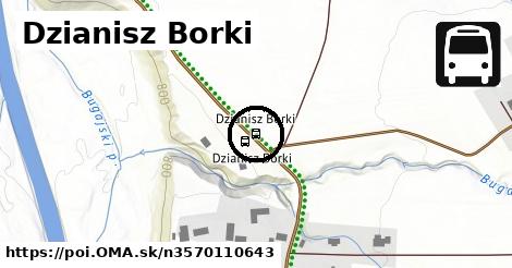 Dzianisz Borki