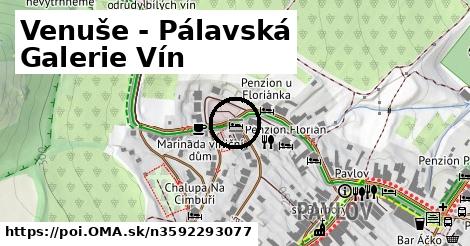 Venuše - Pálavská Galerie Vín