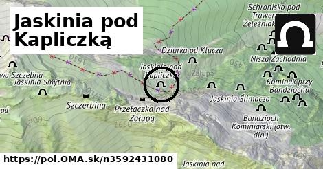 Jaskinia pod Kapliczką