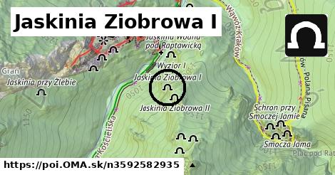 Jaskinia Ziobrowa I
