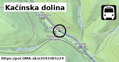 Kačínska dolina