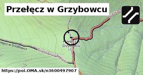 Przełęcz w Grzybowcu