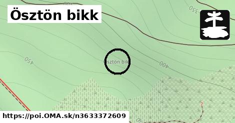 Ösztön bikk