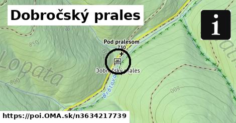 Dobročský prales