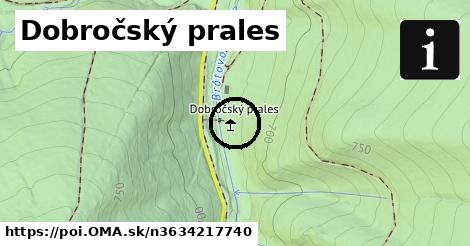 Dobročský prales